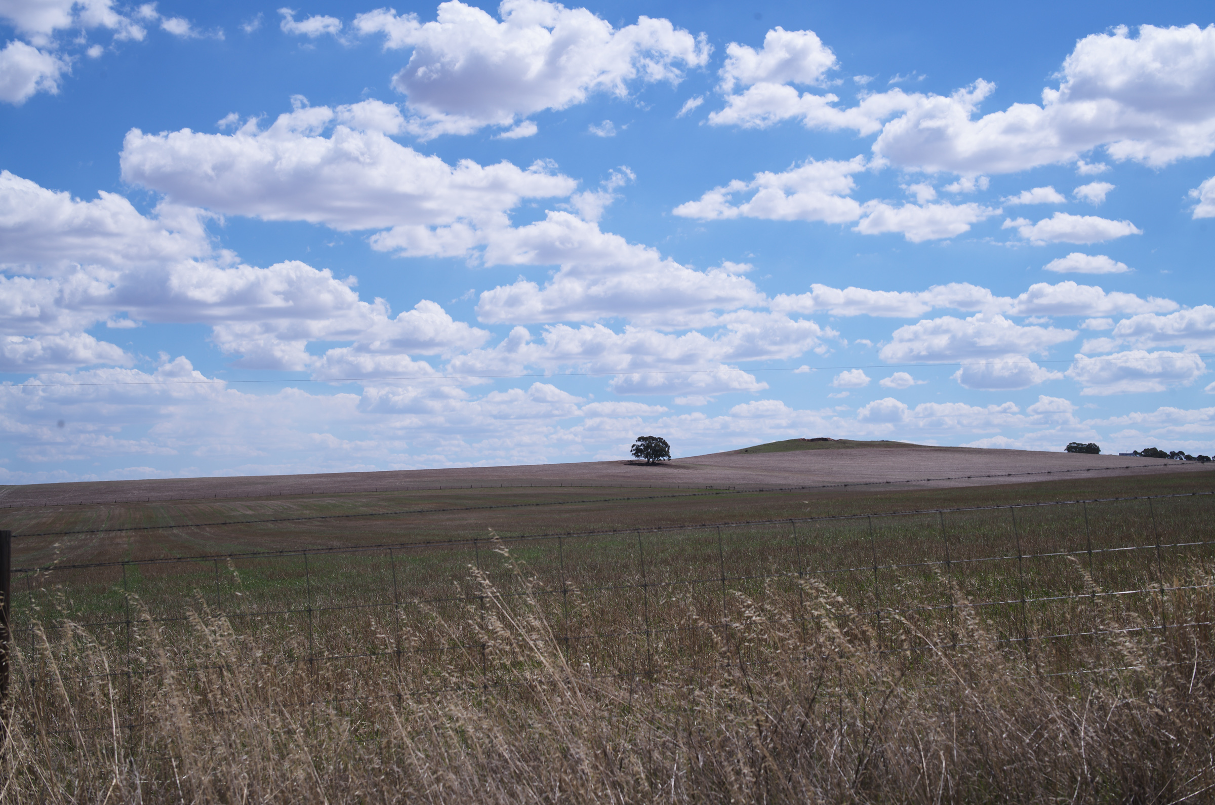 こんな感じの丘を眺めながらサイクリング