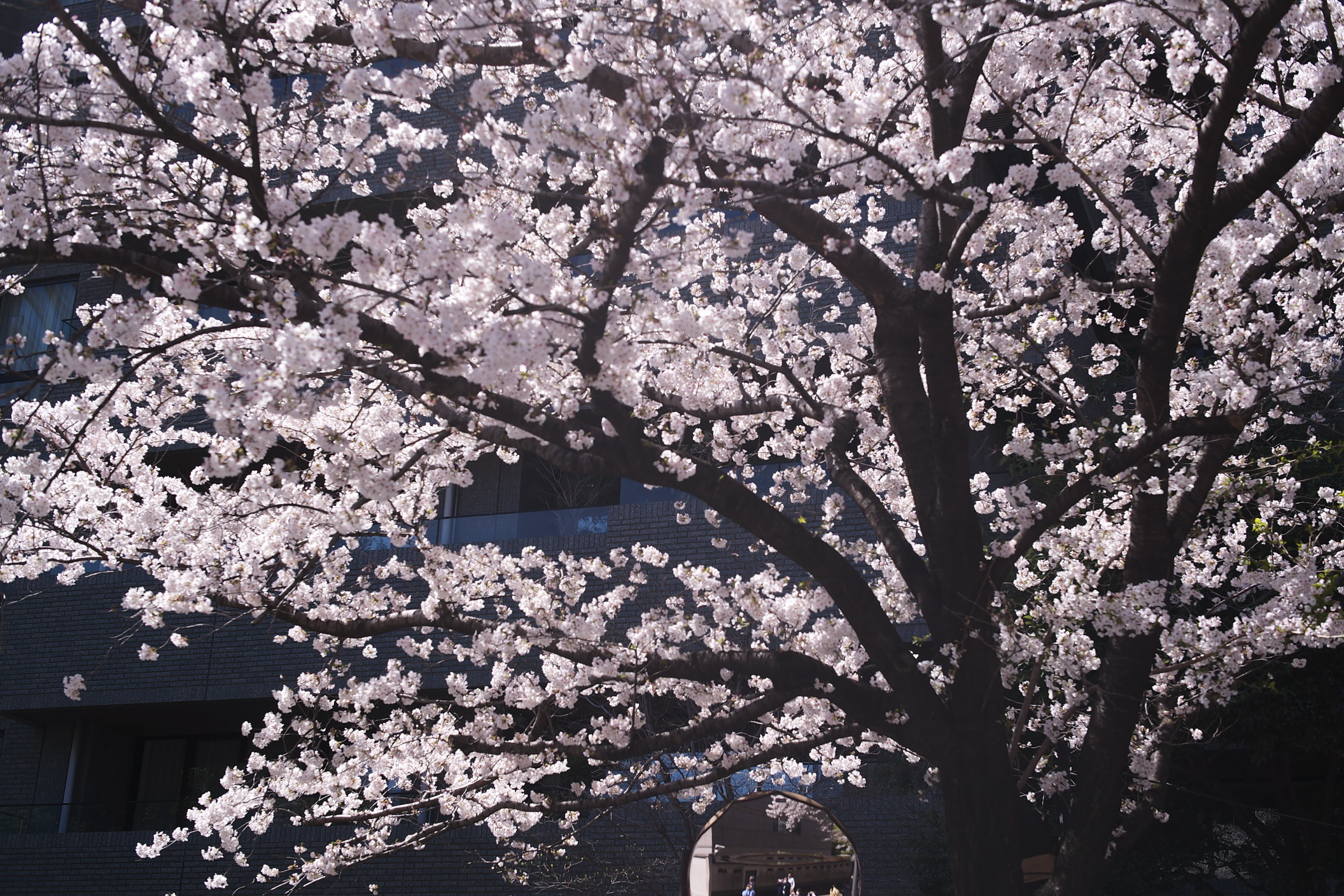 2025年1月-3月